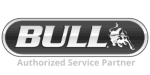 We clean and repair Bull BBQ Grills